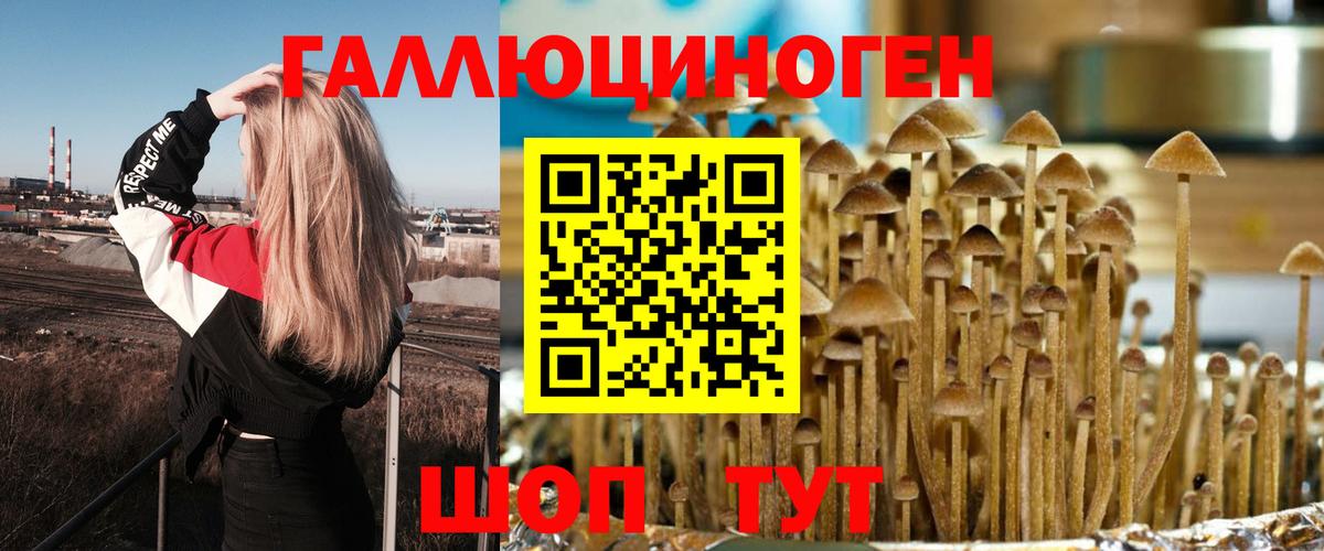 Псилоцибиновые грибы MAGIC MUSHROOMS Сегежа